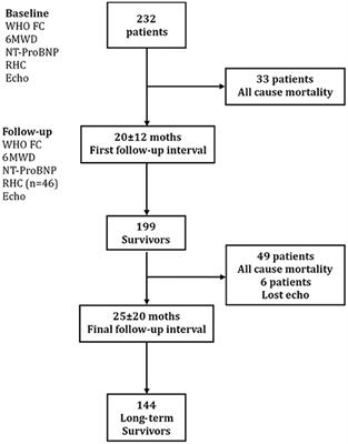 Echocardiographic Prognosis Relevance of Attenuated Right Heart Remodeling in Idiopathic Pulmonary Arterial Hypertension